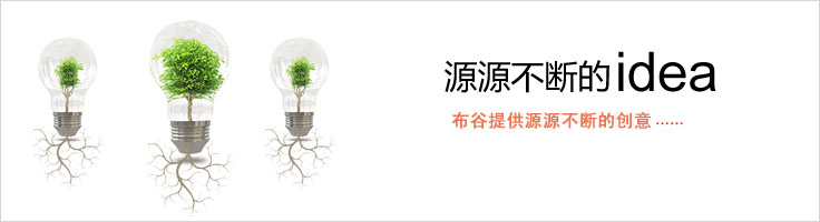 網站建設解決方案